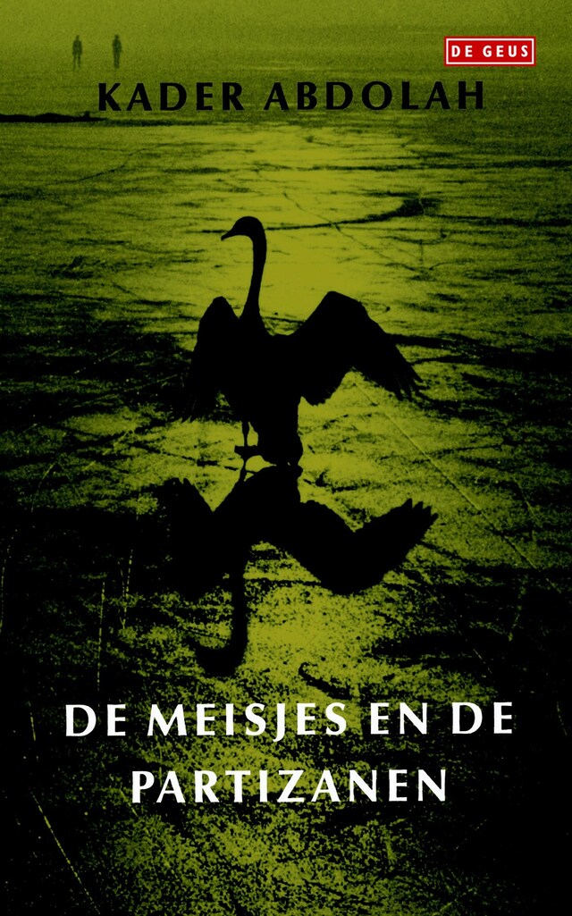 Couverture de livre pour Meisjes en de partizanen