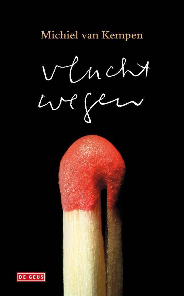 Couverture de livre pour Vluchtwegen