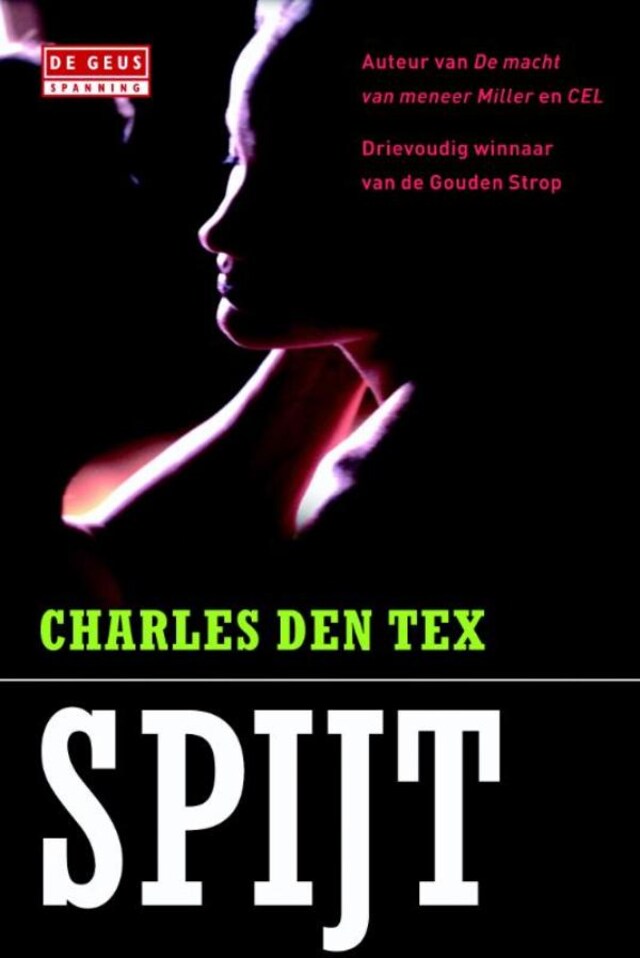 Book cover for Spijt