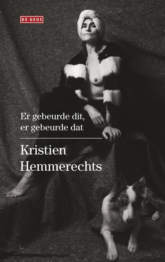 Couverture de livre pour Er gebeurde dit, er gebeurde dat