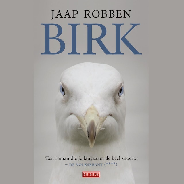 Book cover for Birk