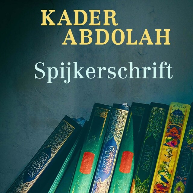 Book cover for Spijkerschrift