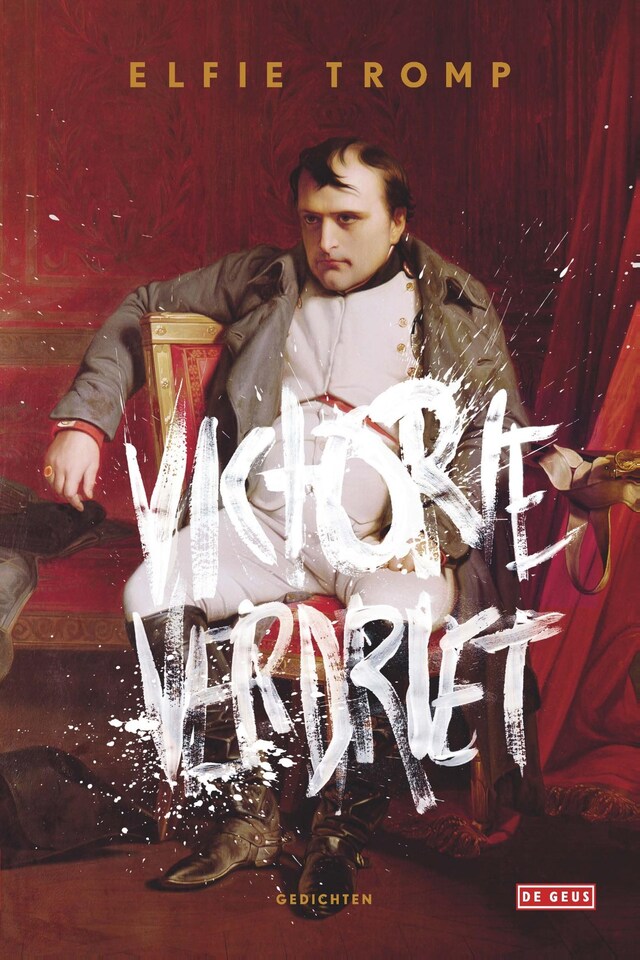 Copertina del libro per Victorieverdriet