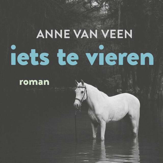Book cover for Iets te vieren