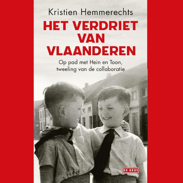Buchcover für Het verdriet van Vlaanderen