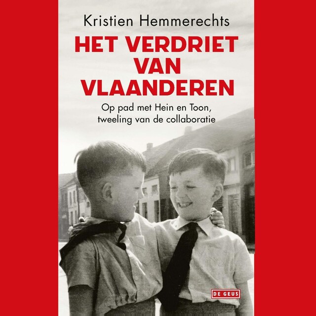 Couverture de livre pour Het verdriet van Vlaanderen