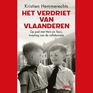 Het verdriet van Vlaanderen - luisterboek