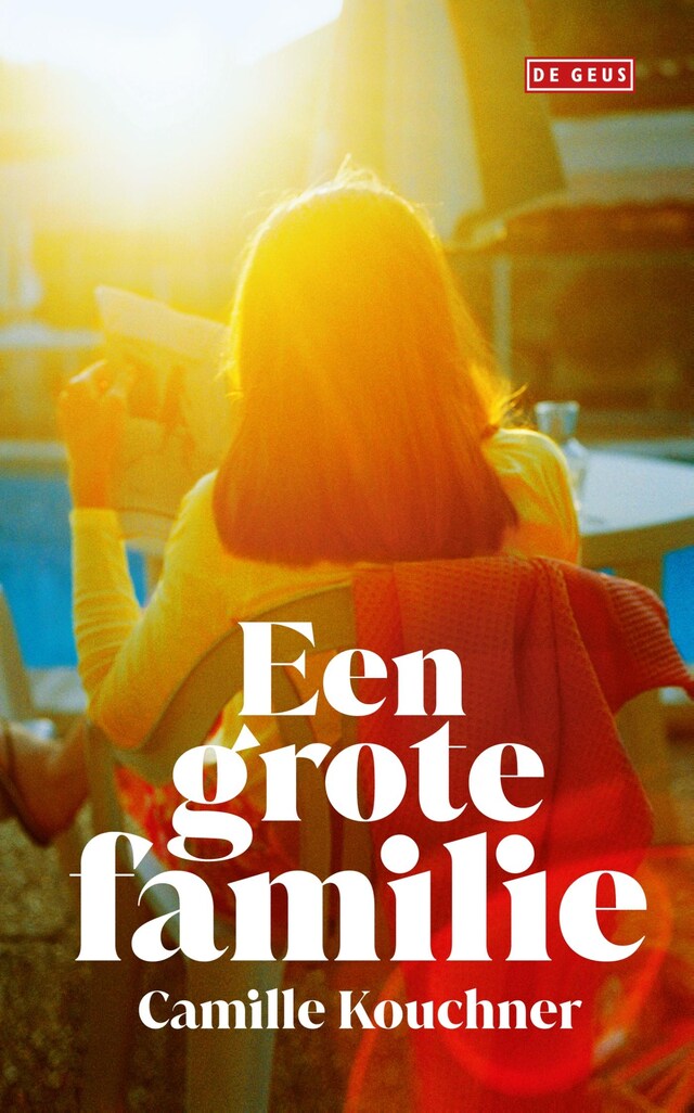 Book cover for Een grote familie