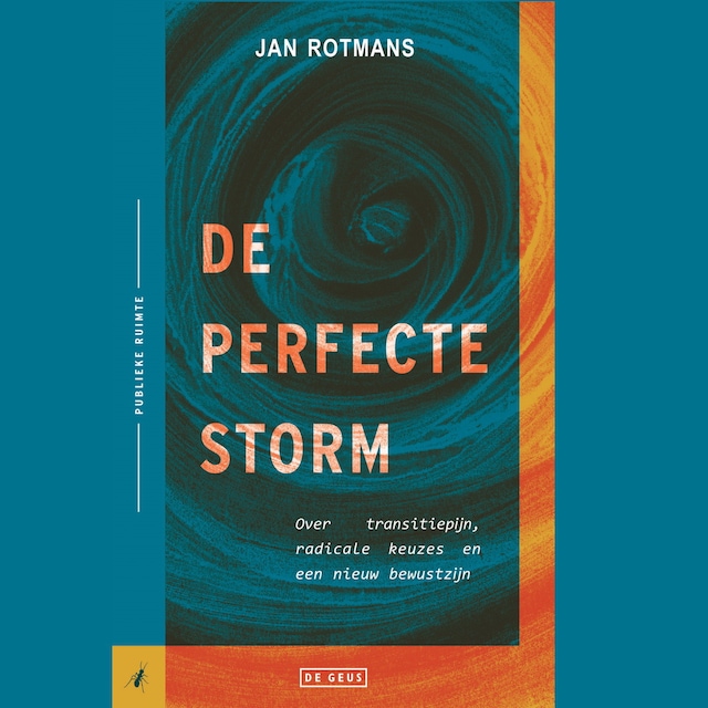 Boekomslag van De perfecte storm