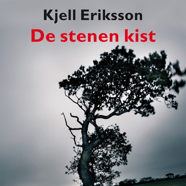 Book cover for De stenen kist