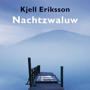 Nachtzwaluw - luisterboek
