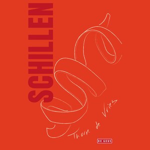 Schillen - luisterboek