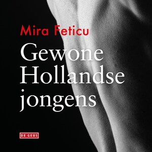 Gewone Hollandse jongens - luisterboek