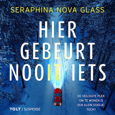 Hier gebeurt nooit iets - luisterboek