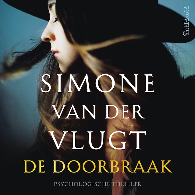 Book cover for De doorbraak