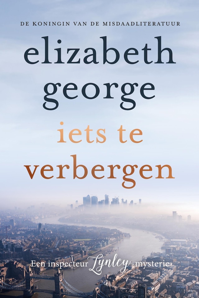 Book cover for Iets te verbergen