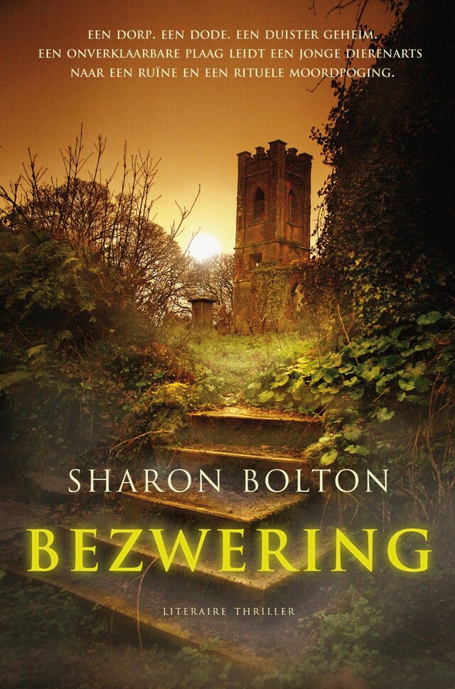 Book cover for Bezwering