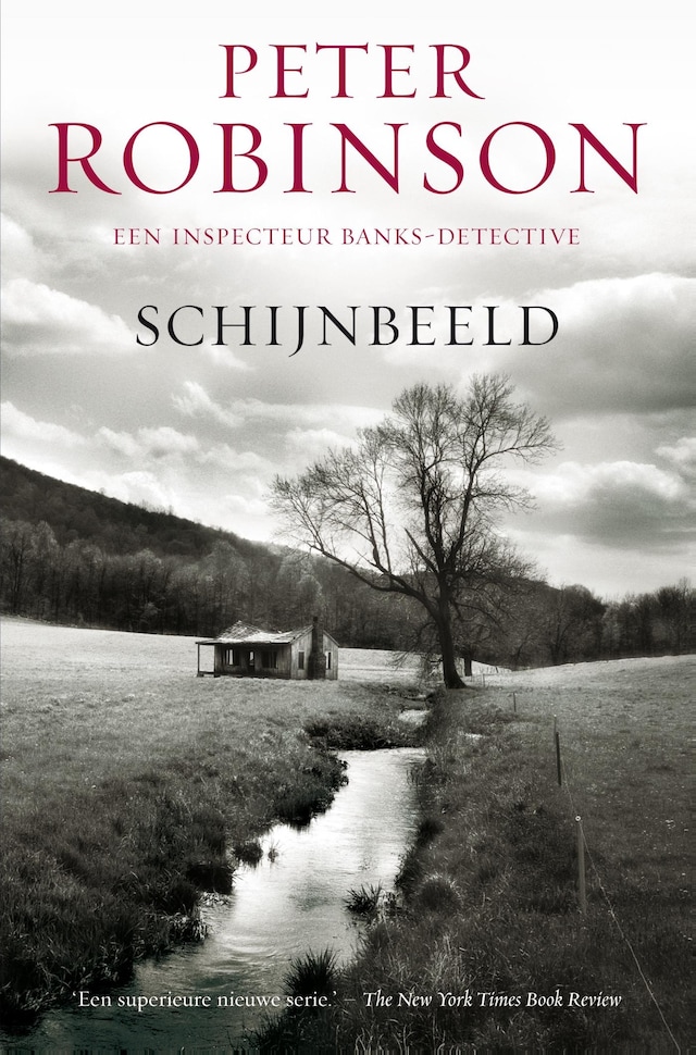 Book cover for Schijnbeeld