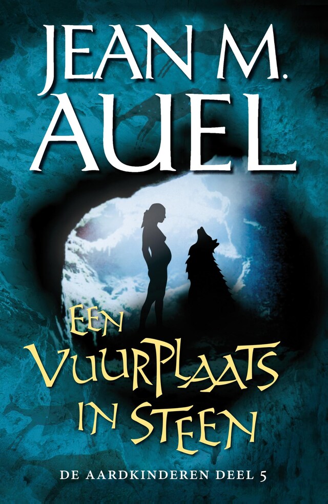 Book cover for Een vuurplaats in steen