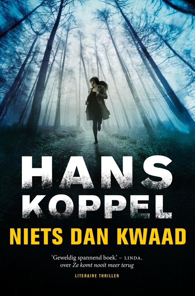 Buchcover für Niets dan kwaad