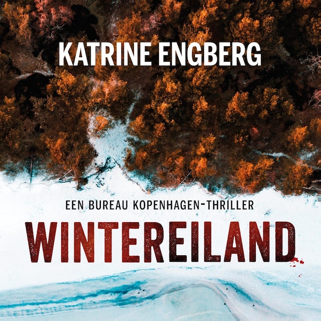Book cover for Wintereiland