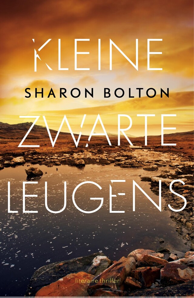 Book cover for Kleine zwarte leugens