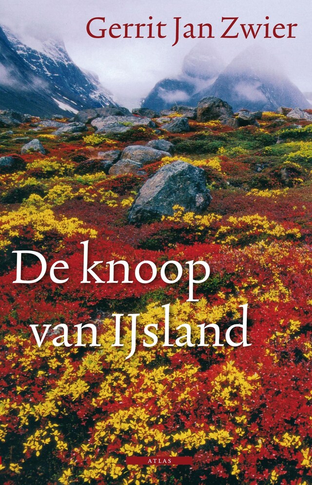 Copertina del libro per De knoop van IJsland