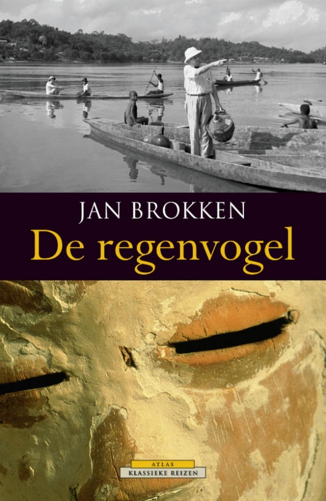 Book cover for De regenvogel