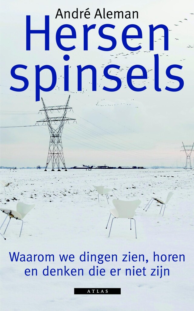 Book cover for Hersenspinsels