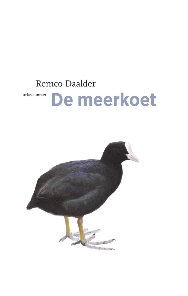 Boekomslag van Meerkoet