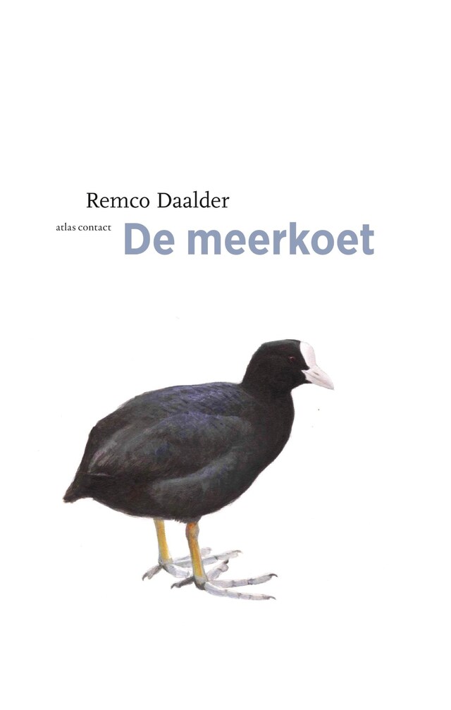 Buchcover für Meerkoet