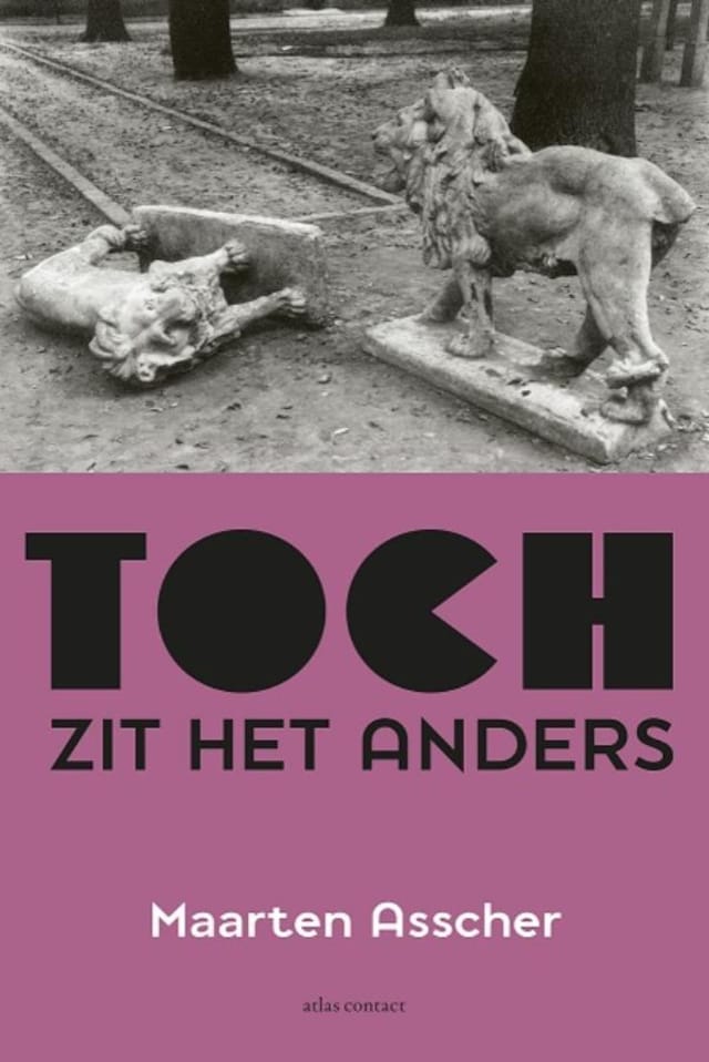 Book cover for Toch zit het anders