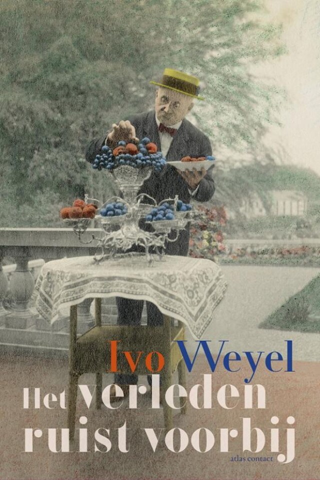 Book cover for Het verleden ruist voorbij