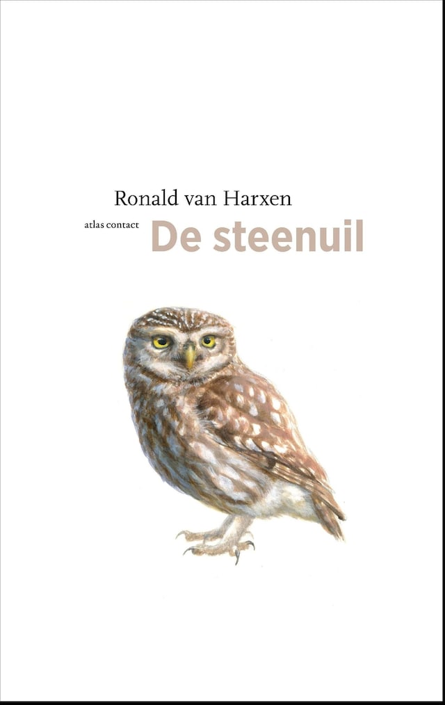 Book cover for De steenuil