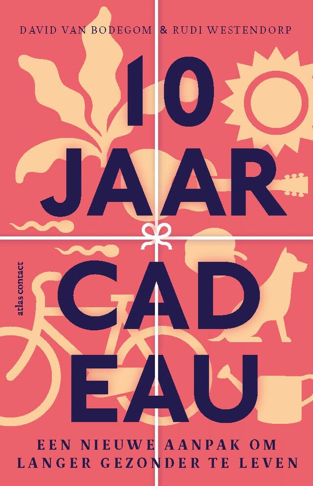 Copertina del libro per Tien jaar cadeau