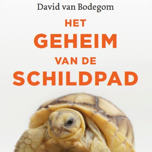 Book cover for Het geheim van de schildpad