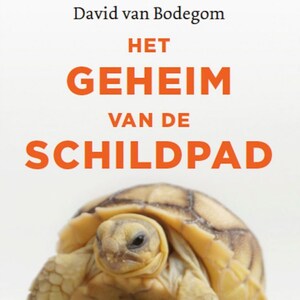 Het geheim van de schildpad - luisterboek
