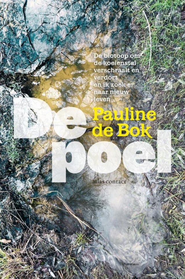 Buchcover für De poel