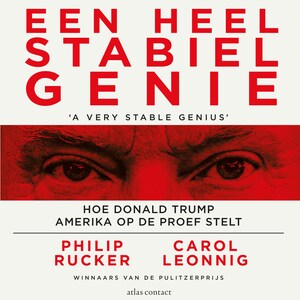 Een heel stabiel genie - luisterboek