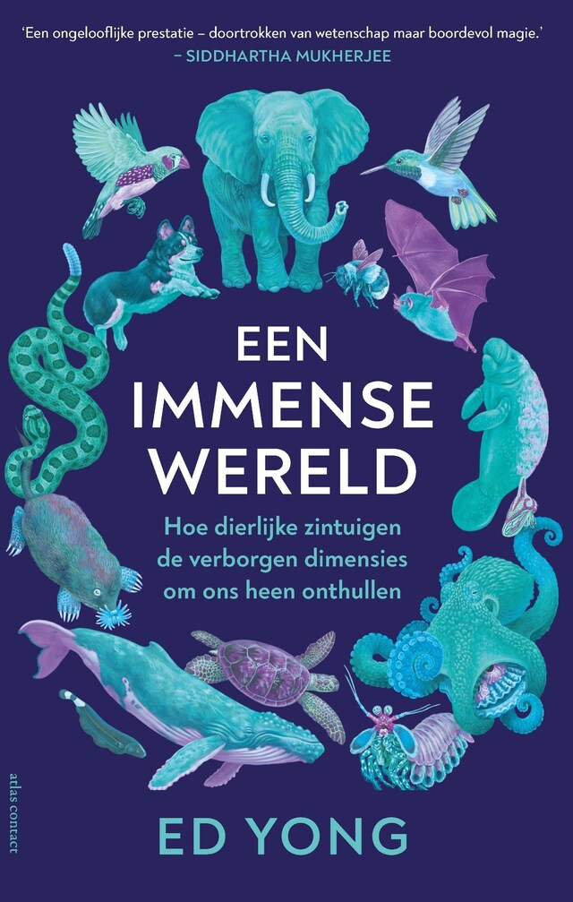 Book cover for Een Immense wereld
