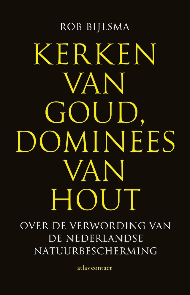 Buchcover für Kerken van goud, dominees van hout