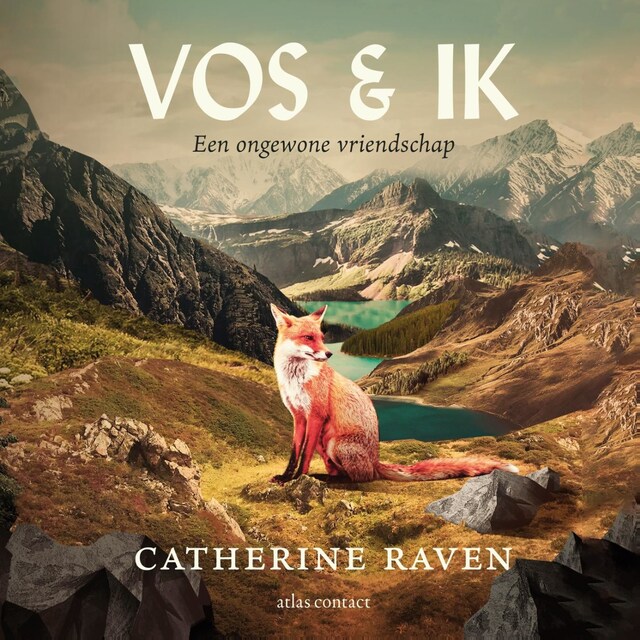 Book cover for Vos & ik