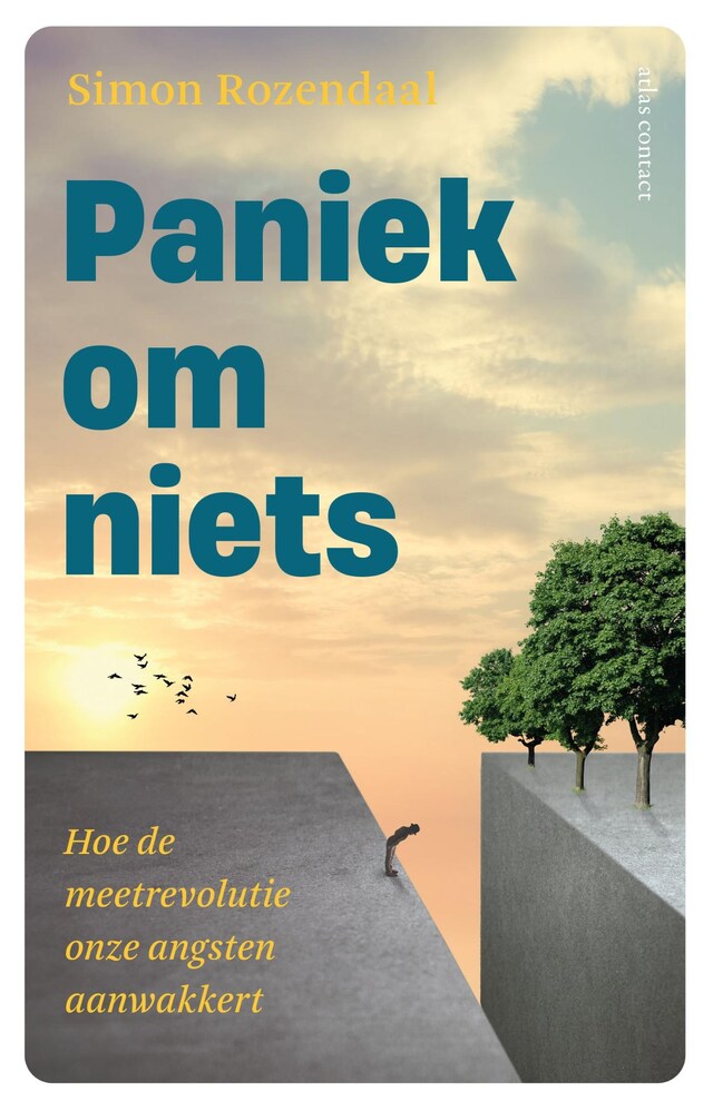 Bogomslag for Paniek om niets