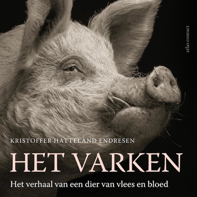 Okładka książki dla Het varken