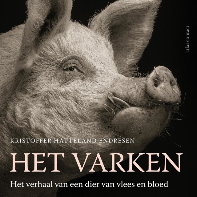 Copertina del libro per Het varken