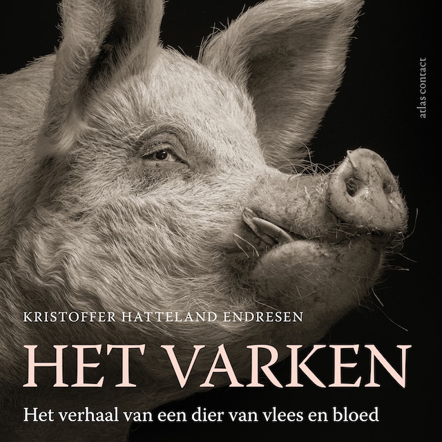 Book cover for Het varken