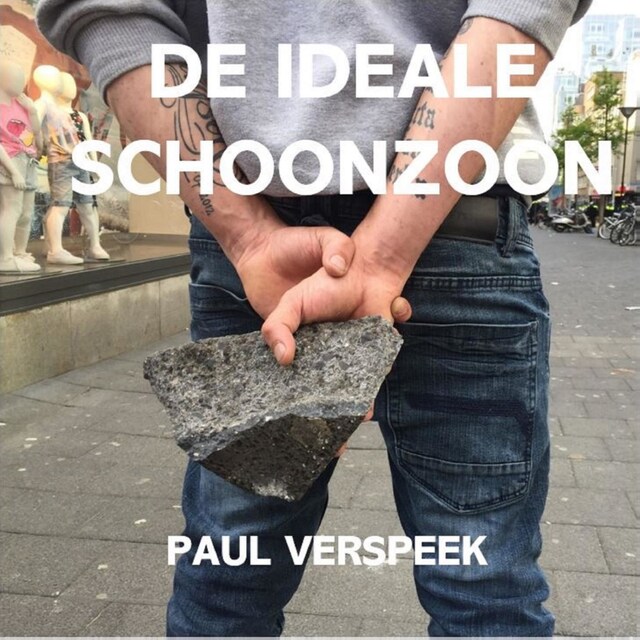 Boekomslag van De ideale schoonzoon