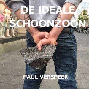 De ideale schoonzoon - luisterboek