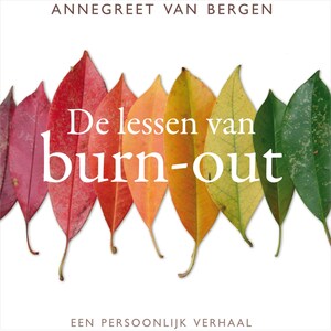 De lessen van Burn-out - luisterboek