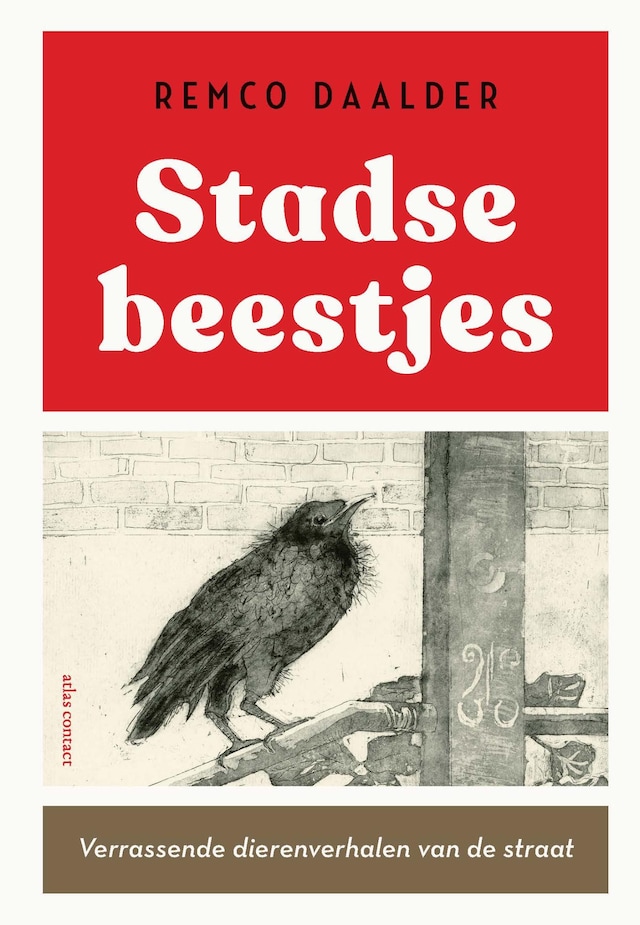 Bogomslag for Stadse beestjes